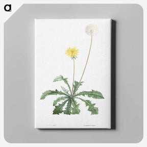 1-19_La-Botanique_canvas