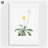 1-19_La-Botanique_picture