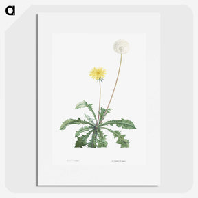 1-19_La-Botanique_picture