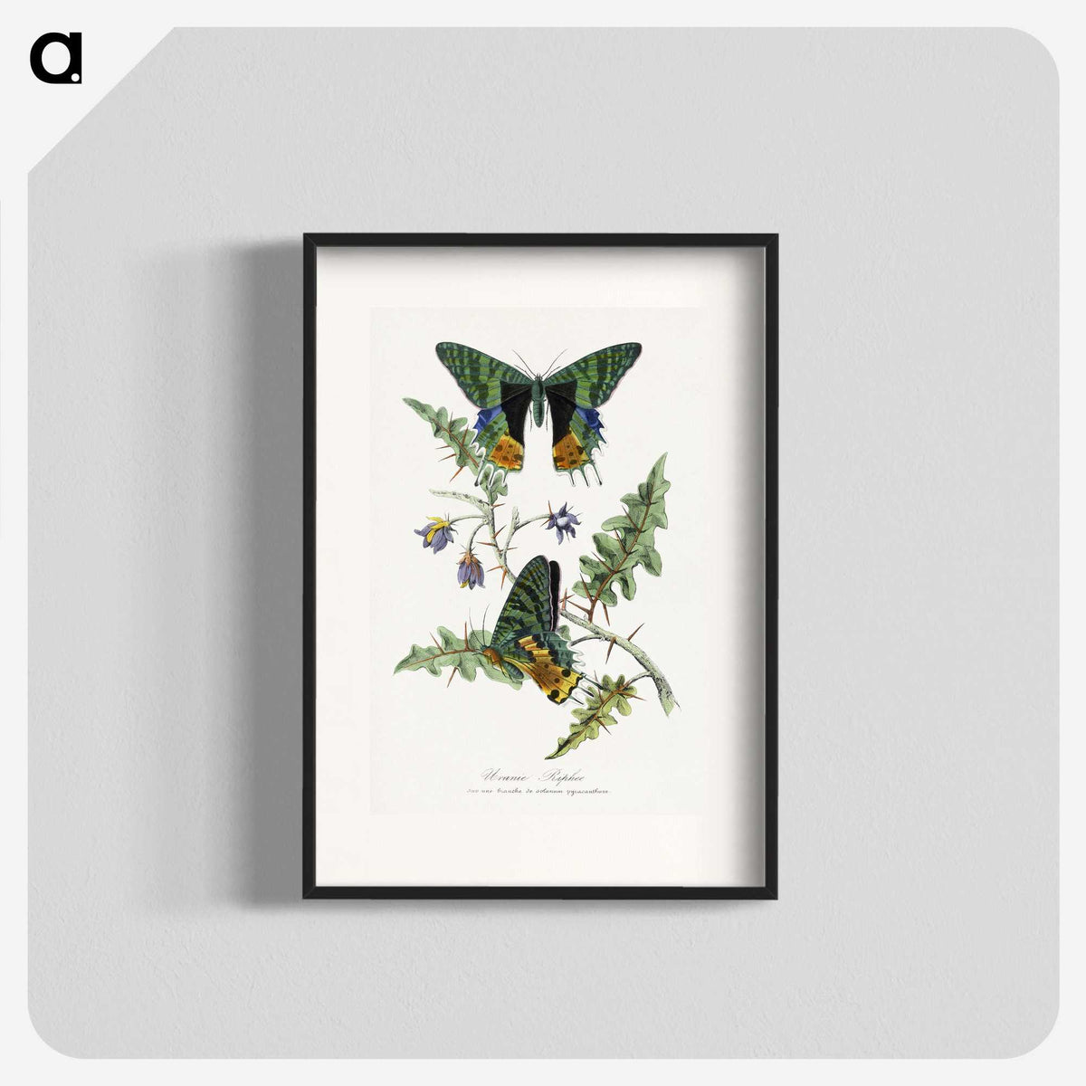 1-19_Le-Jardin-des-Plantes_blk