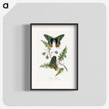 1-19_Le-Jardin-des-Plantes_blk