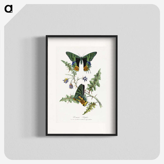 1-19_Le-Jardin-des-Plantes_blk