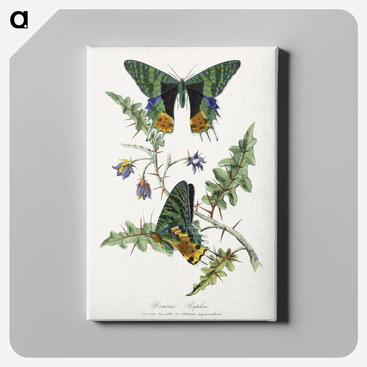 1-19_Le-Jardin-des-Plantes_canvas