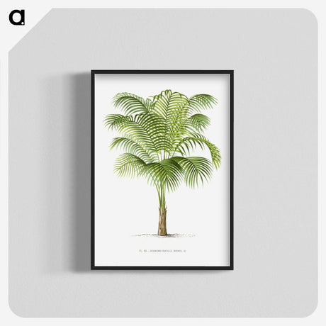 1-19_Les-Palmiers-Histoire-Iconographique_blk-crop