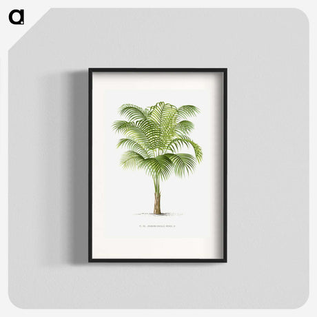 1-19_Les-Palmiers-Histoire-Iconographique_blk