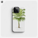 1-19_Les-Palmiers-Histoire-Iconographique_phone