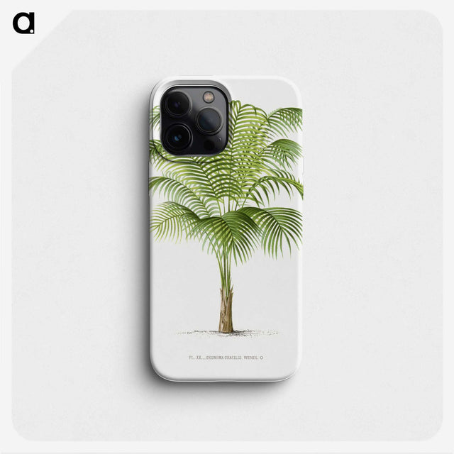 1-19_Les-Palmiers-Histoire-Iconographique_phone