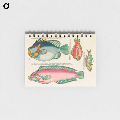 アートメモ帳-Moluccan Fishes
 - ルイ ルナール Memo.