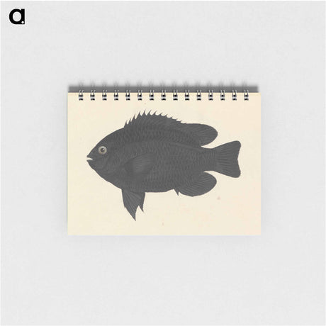 アートメモ帳-Unidentified Fish
 - ルイージ バルガーニ Memo.