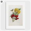 1-19_Maria-Sibylla-Merian_picture