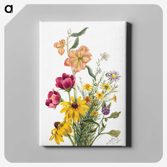 1-19_Mary-Vaux-Walcott_canvas