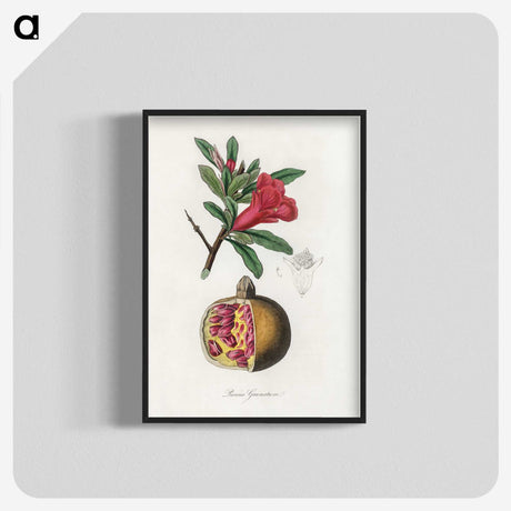1-19_Medical-Botany_blk-crop