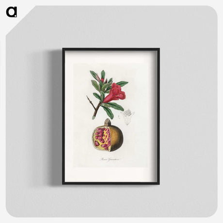 1-19_Medical-Botany_blk