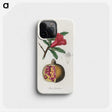 1-19_Medical-Botany_phone