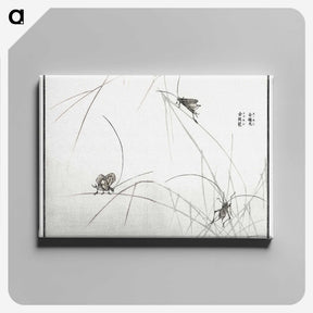 1-19_Morimoto-Tokaku_canvas
