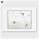 1-19_Morimoto-Tokaku_picture