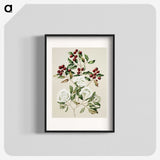 1-19_Native-Flowering-Plants-of-New-Zealand_blk