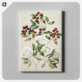 1-19_Native-Flowering-Plants-of-New-Zealand_canvas