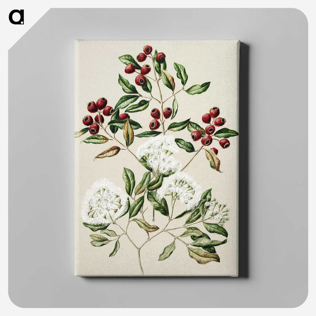 1-19_Native-Flowering-Plants-of-New-Zealand_canvas