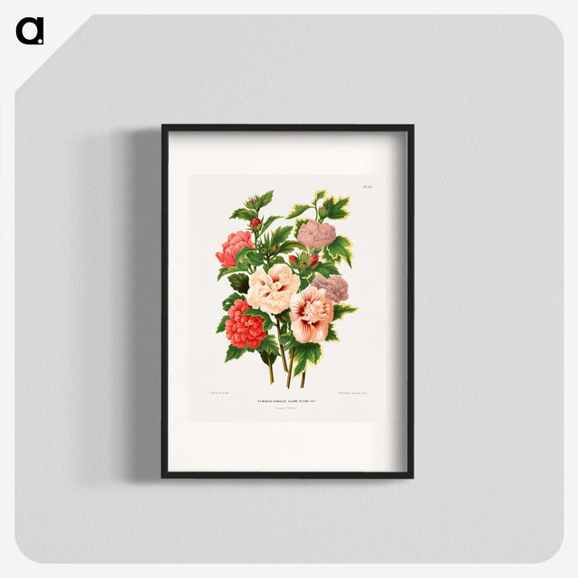 1-19_Nederlandsche-Flora-en-Pomona_blk