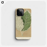 1-19_New-and-Rare-Beautiful-Leaved-Plants_phone