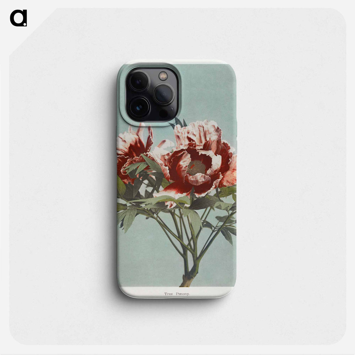 Tree Peony - 小川 一正 Phone Case.