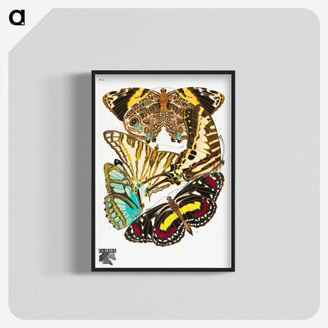 1-19_Papillons_blk-crop