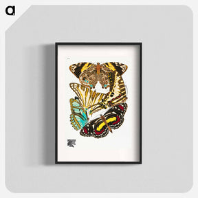 アートポスター-Vintage Butterflies
 - パピヨン Poster.