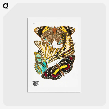 1-19_Papillons_hagaki