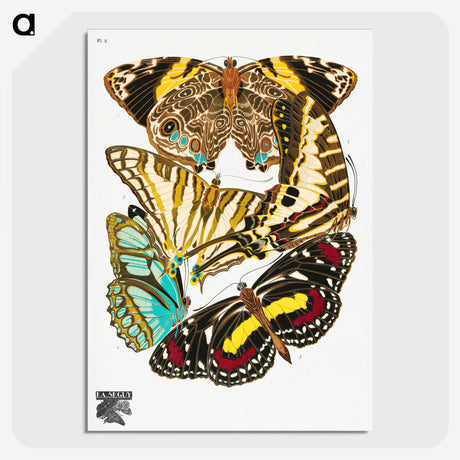 1-19_Papillons_picture-crop