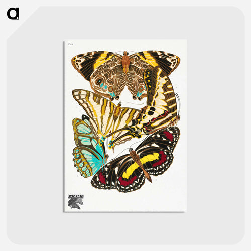 Vintage Butterflies
 - パピヨン Postcard.