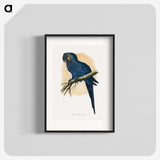 1-19_Parrots-in-Captivity_blk