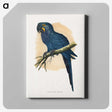 1-19_Parrots-in-Captivity_canvas