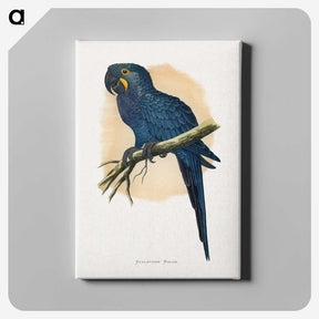 1-19_Parrots-in-Captivity_canvas