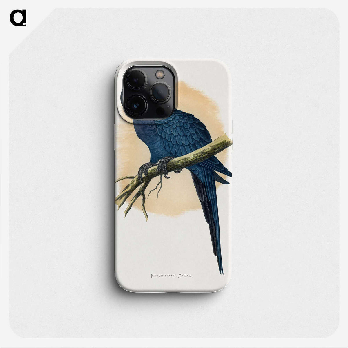 1-19_Parrots-in-Captivity_phone