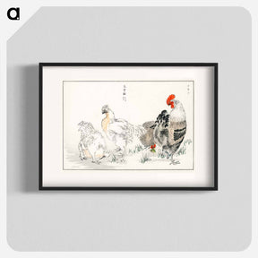 アートポスター-Domestic Fowl Illustration
 - 鳥類図鑑 Poster.
