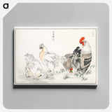アートパネル-Domestic Fowl Illustration
 - 鳥類図鑑 Canvas.