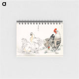 アートメモ帳-Domestic Fowl Illustration
 - 鳥類図鑑 Memo.
