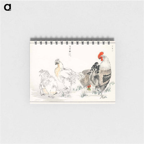 アートメモ帳-Domestic Fowl Illustration
 - 鳥類図鑑 Memo.