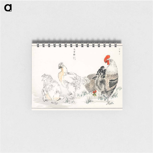 アートメモ帳-Domestic Fowl Illustration
 - 鳥類図鑑 Memo.