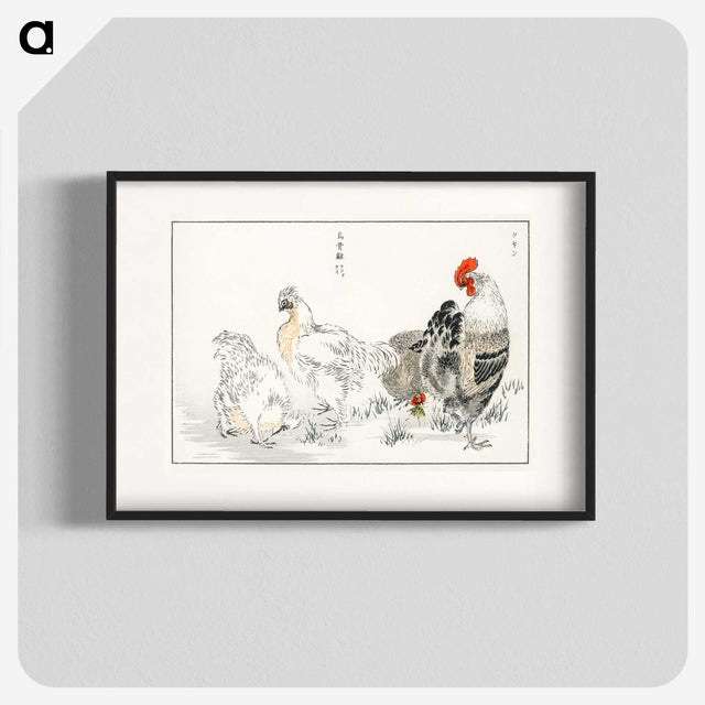 1-19_Pictorial-Monograph-of-Birds_blk