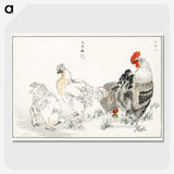 1-19_Pictorial-Monograph-of-Birds_picture-crop