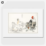 1-19_Pictorial-Monograph-of-Birds_picture