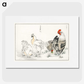 1-19_Pictorial-Monograph-of-Birds_picture