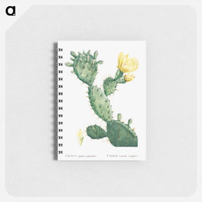 アートメモ帳-Aloe Opuntia Polyanthos - ピエール ジョゼフ ルドゥーテ Memo.