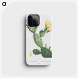 1-19_Pierre-Joseph-Redoute_phone