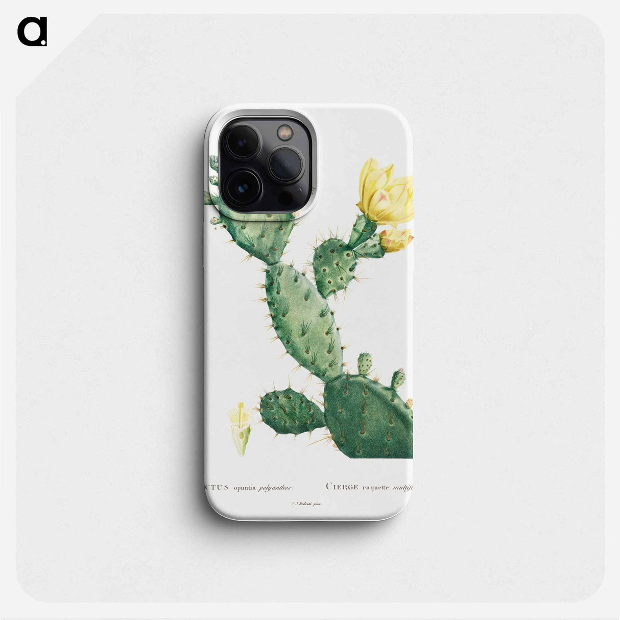 Aloe Opuntia Polyanthos - ピエール ジョゼフ ルドゥーテ Phone Case.