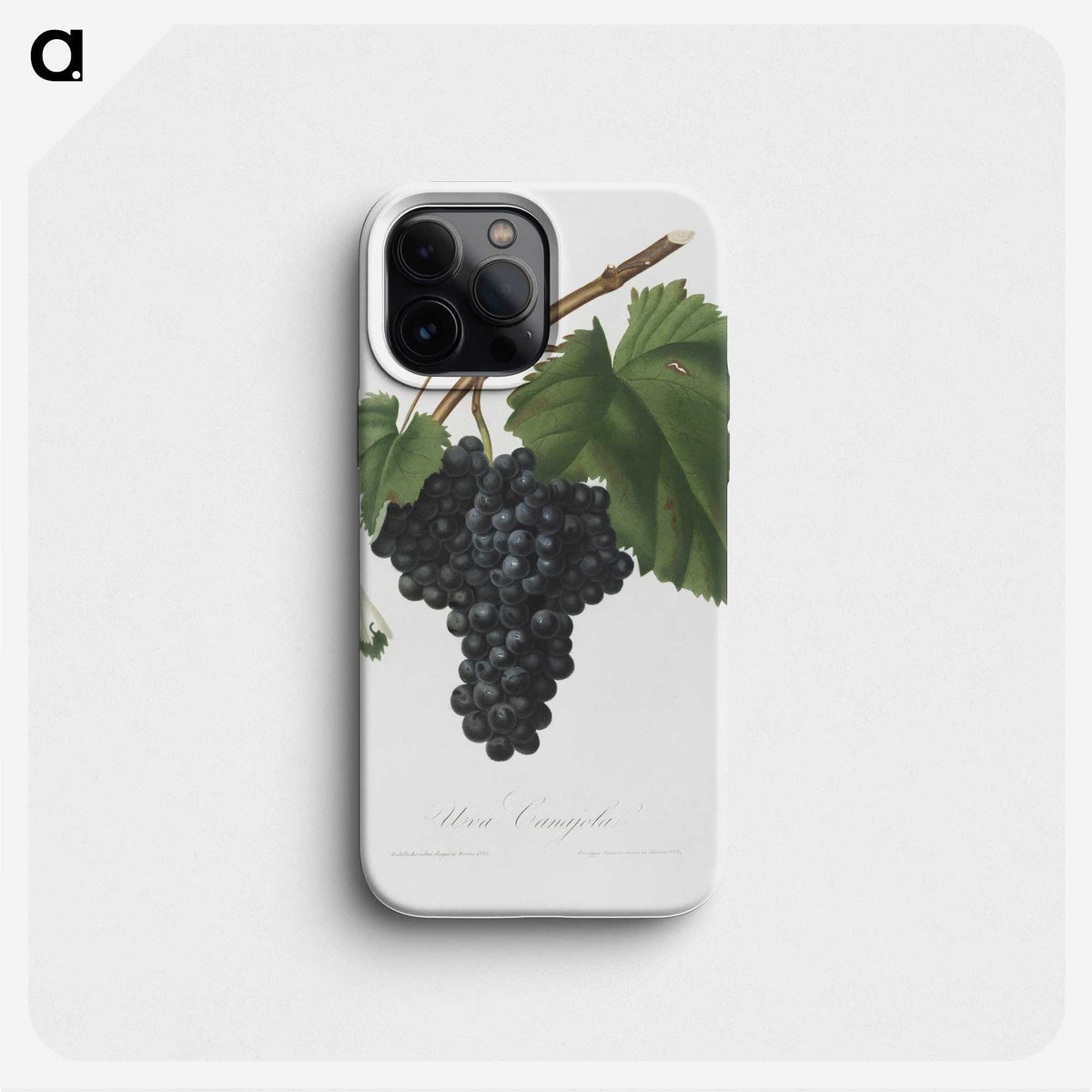 1-19_Pomona-Italiana_phone