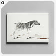 1-19_Robert-Jacob-Gordon_canvas
