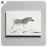 1-19_Robert-Jacob-Gordon_canvas